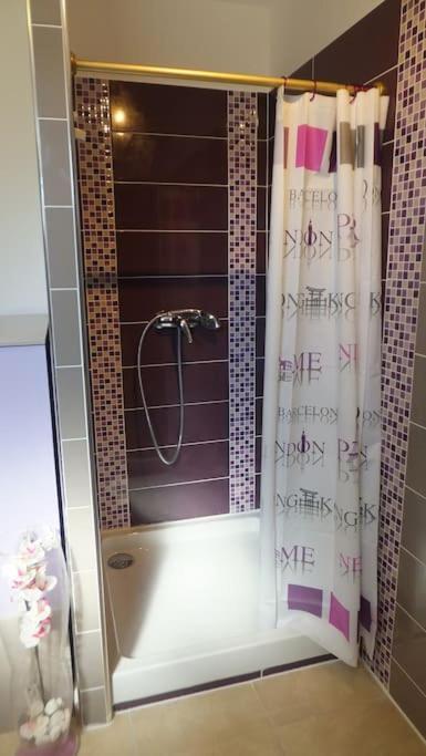 Appartement Romana Puissalicon 34 Bagian luar foto