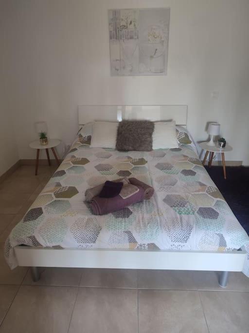 Appartement Romana Puissalicon 34 Bagian luar foto