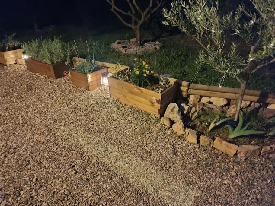 Appartement Romana Puissalicon 34 Bagian luar foto
