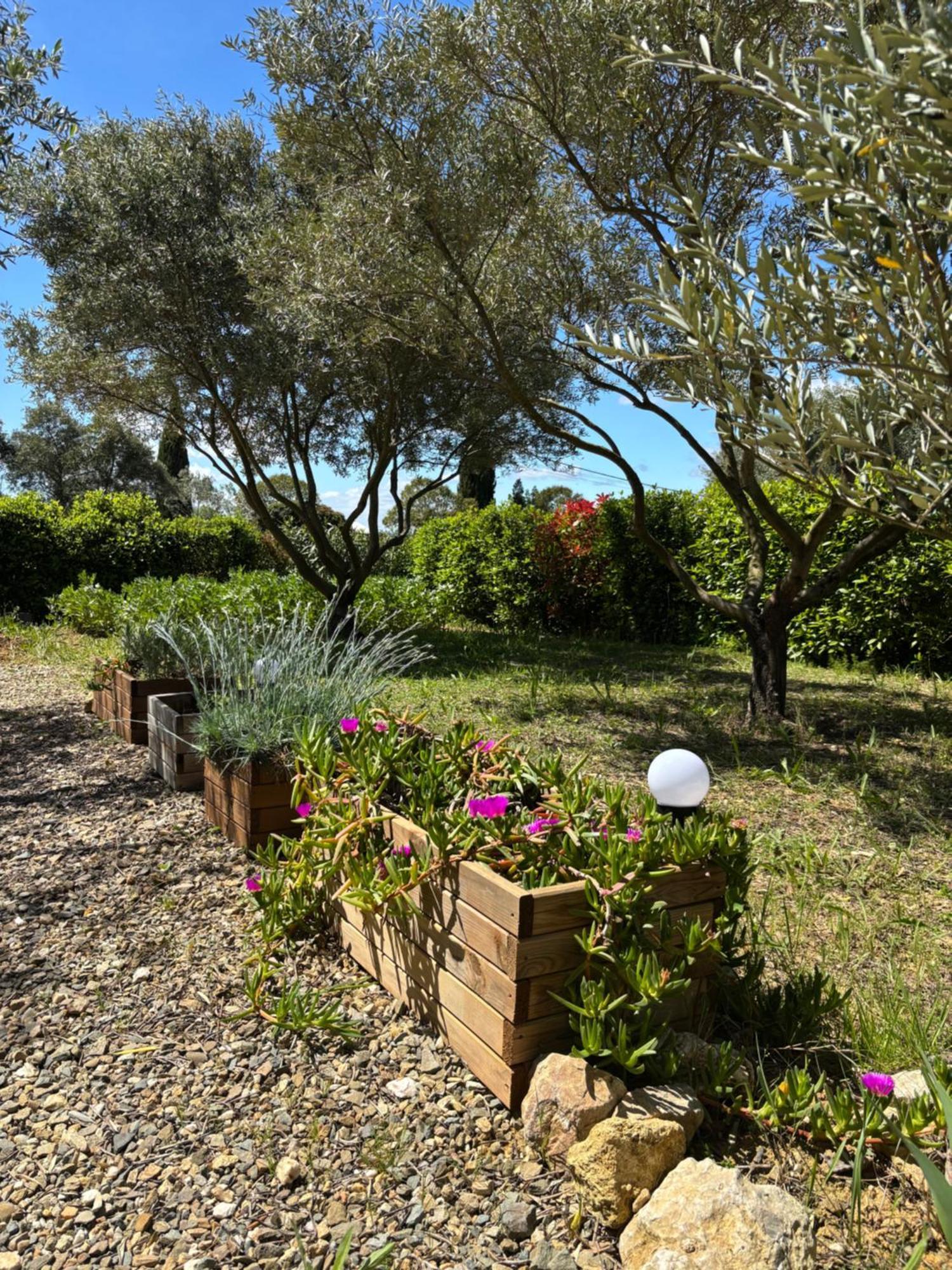 Appartement Romana Puissalicon 34 Bagian luar foto